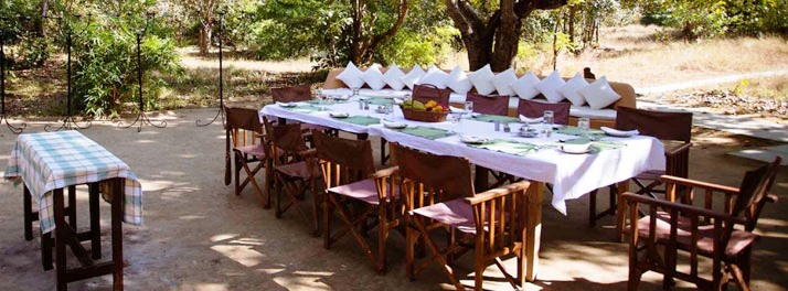 1460/Singinawa Jungle Lodge - Kanha National Park 07.jpg